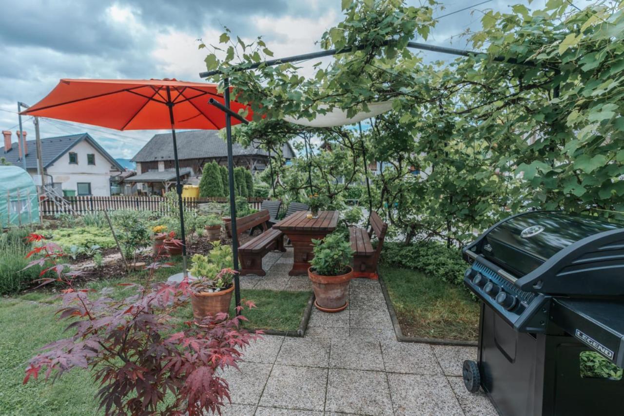 Zirovnica Apartma Lamberger מראה חיצוני תמונה