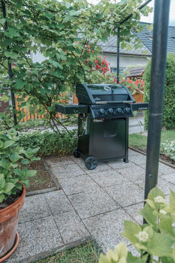 Zirovnica Apartma Lamberger מראה חיצוני תמונה